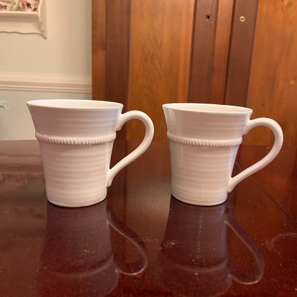 2 Pottery Barn Gabriella Mugs